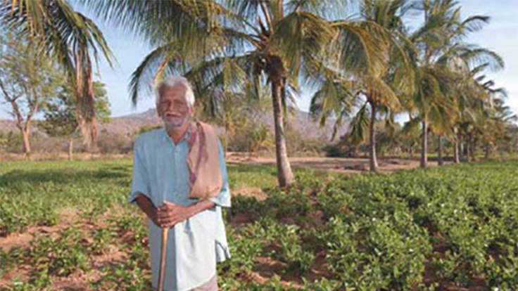 Karnataka Watershed Development Project